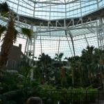 OTRA2014_0826 (August 29, 2014)